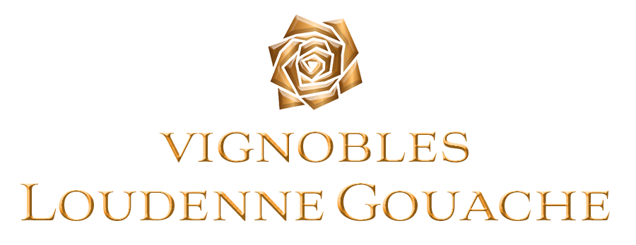 logo societe 