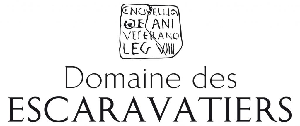 logo société 